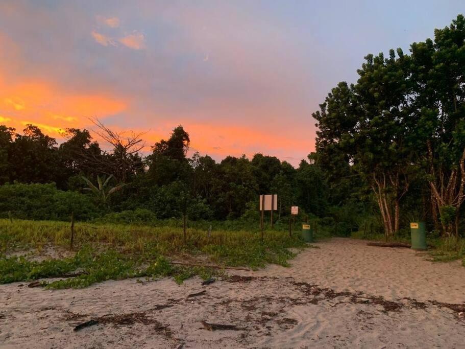 Itamambuca A Beira Mar Com Piscina Villa Ubatuba Eksteriør bilde
