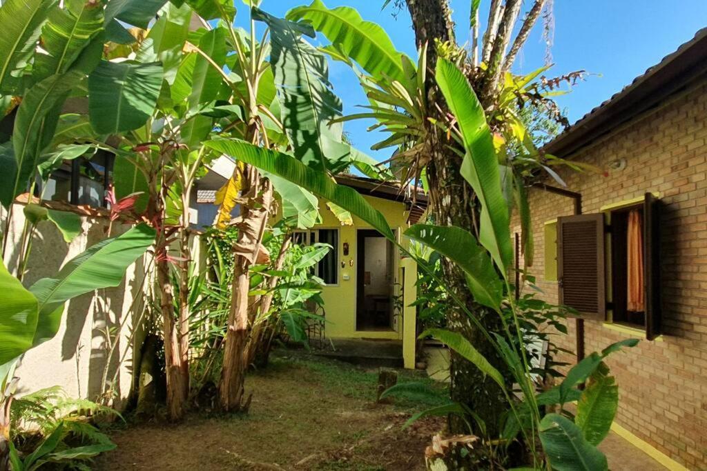 Itamambuca A Beira Mar Com Piscina Villa Ubatuba Eksteriør bilde